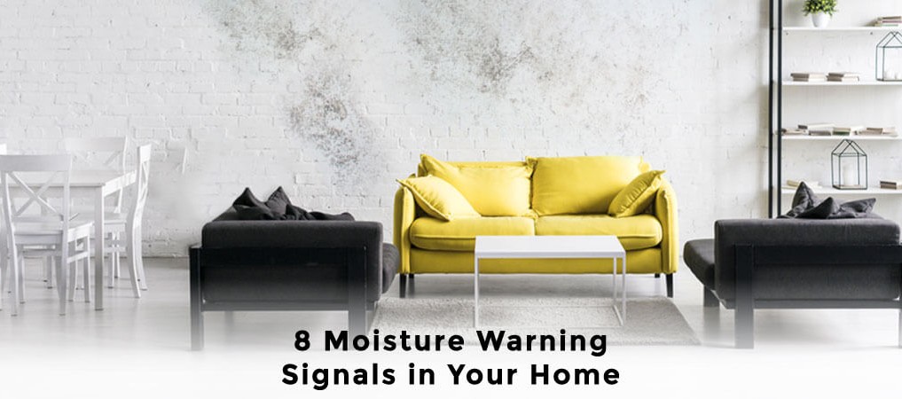 Moisture Warning Signals in Your Home